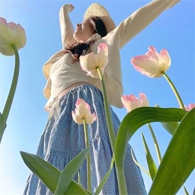秋蝉海报
