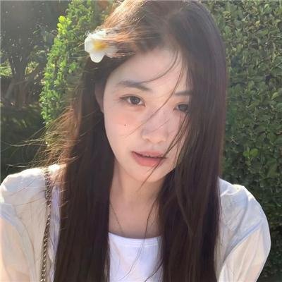 双生赤狐海报